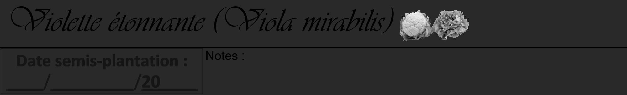 Étiquette de : Viola mirabilis - format a - style noire34viv avec comestibilité simplifiée