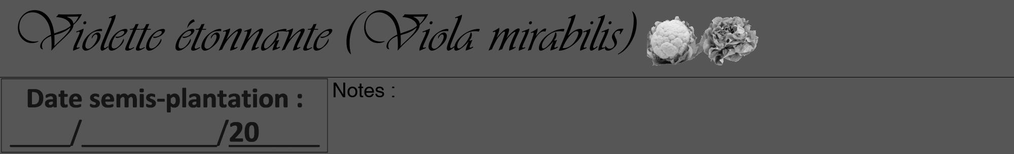 Étiquette de : Viola mirabilis - format a - style noire45viv avec comestibilité simplifiée