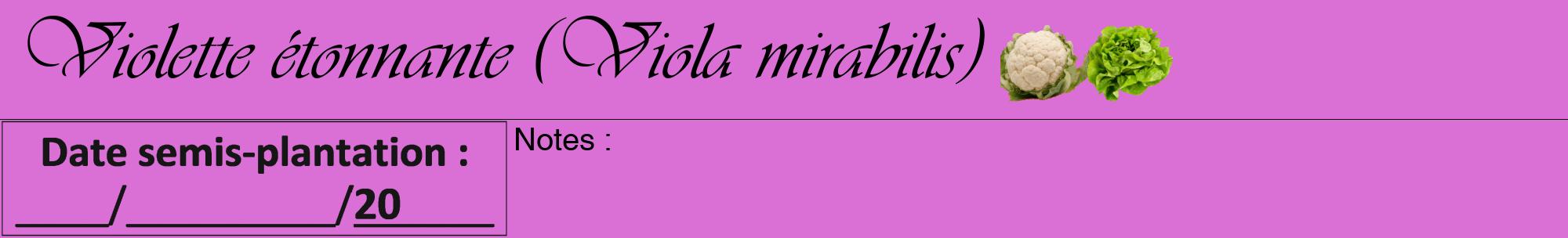 Étiquette de : Viola mirabilis - format a - style noire52viv avec comestibilité simplifiée