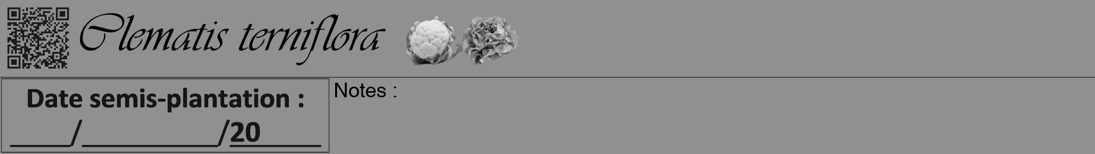 Étiquette de : Clematis terniflora - format a - style noire4viv avec qrcode et comestibilité simplifiée