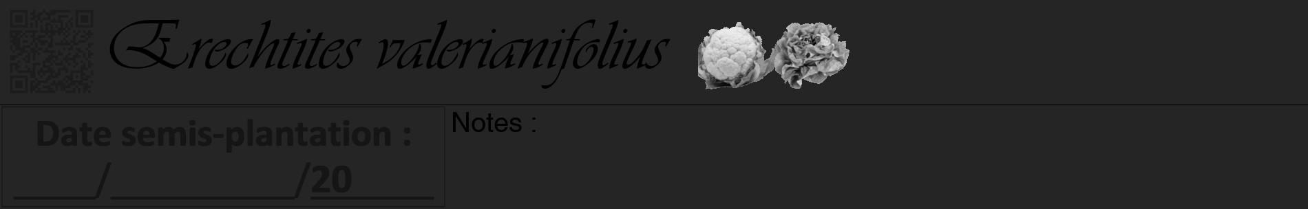 Étiquette de : Erechtites valerianifolius - format a - style noire47basiqueviv avec qrcode et comestibilité simplifiée