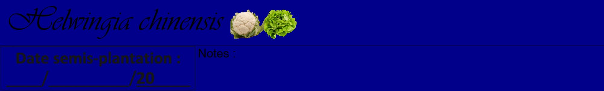 Étiquette de : Helwingia chinensis - format a - style noire7viv avec comestibilité simplifiée