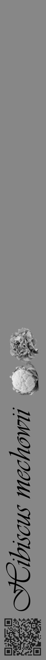 Étiquette de : Hibiscus mechowii - format a - style noire12viv avec qrcode et comestibilité simplifiée - position verticale