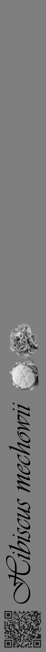 Étiquette de : Hibiscus mechowii - format a - style noire31viv avec qrcode et comestibilité simplifiée - position verticale