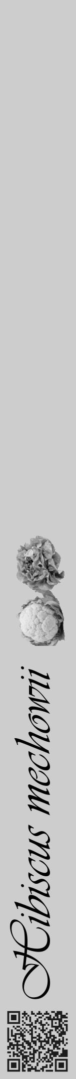 Étiquette de : Hibiscus mechowii - format a - style noire41viv avec qrcode et comestibilité simplifiée - position verticale