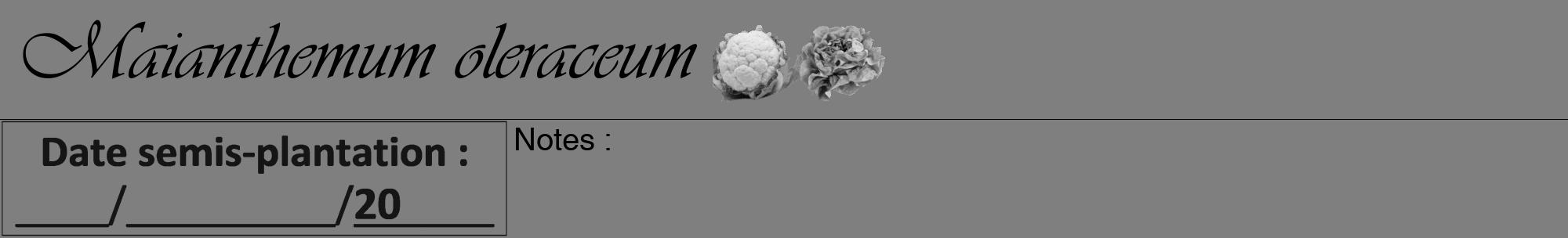 Étiquette de : Maianthemum oleraceum - format a - style noire31viv avec comestibilité simplifiée