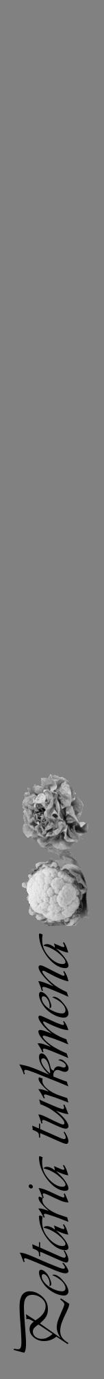 Étiquette de : Peltaria turkmena - format a - style noire50viv avec comestibilité simplifiée - position verticale