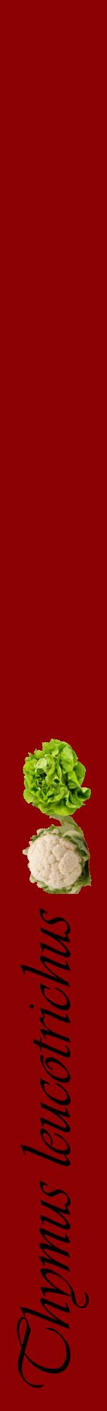 Étiquette de : Thymus leucotrichus - format a - style noire34viv avec comestibilité simplifiée