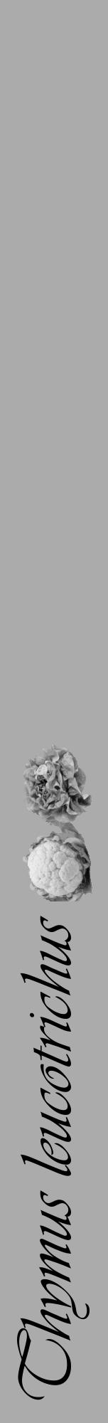 Étiquette de : Thymus leucotrichus - format a - style noire37viv avec comestibilité simplifiée - position verticale