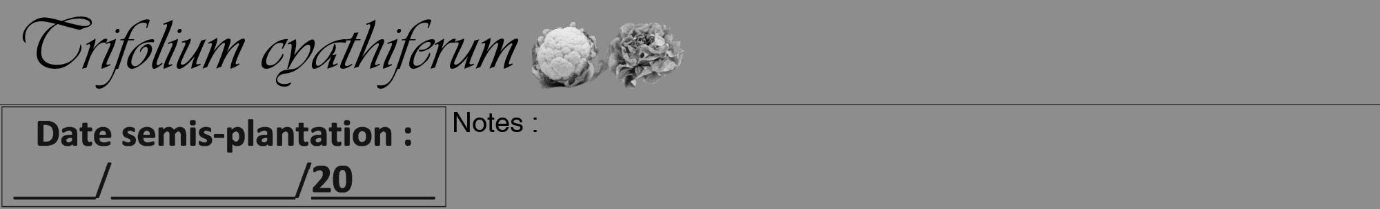 Étiquette de : Trifolium cyathiferum - format a - style noire2viv avec comestibilité simplifiée