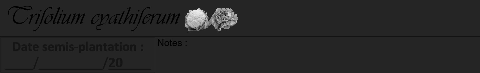 Étiquette de : Trifolium cyathiferum - format a - style noire47viv avec comestibilité simplifiée