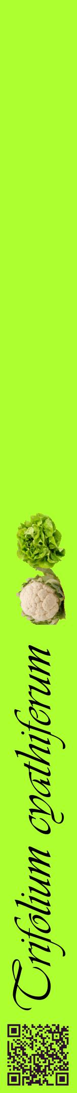 Étiquette de : Trifolium cyathiferum - format a - style noire17viv avec qrcode et comestibilité simplifiée
