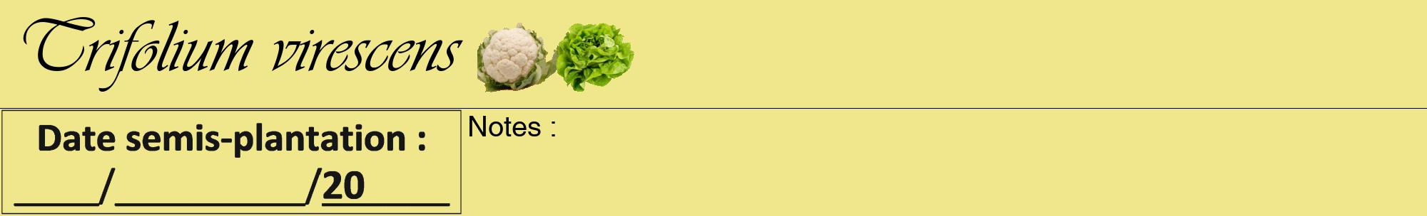 Étiquette de : Trifolium virescens - format a - style noire20viv avec comestibilité simplifiée