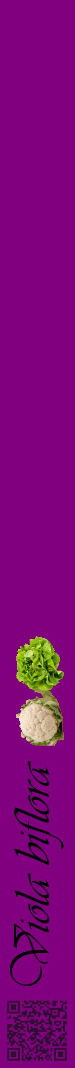 Étiquette de : Viola biflora - format a - style noire46viv avec qrcode et comestibilité simplifiée