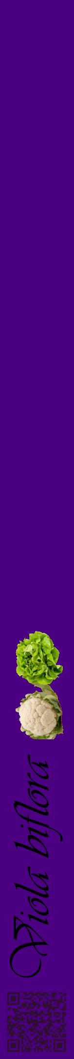 Étiquette de : Viola biflora - format a - style noire47viv avec qrcode et comestibilité simplifiée