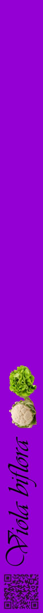 Étiquette de : Viola biflora - format a - style noire48viv avec qrcode et comestibilité simplifiée