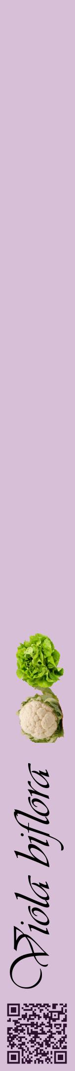 Étiquette de : Viola biflora - format a - style noire54viv avec qrcode et comestibilité simplifiée