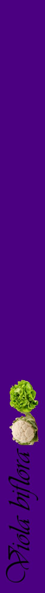 Étiquette de : Viola biflora - format a - style noire47viv avec comestibilité simplifiée