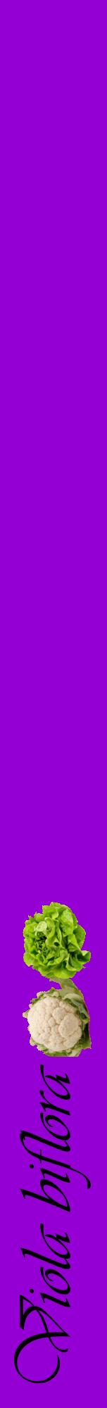 Étiquette de : Viola biflora - format a - style noire48viv avec comestibilité simplifiée