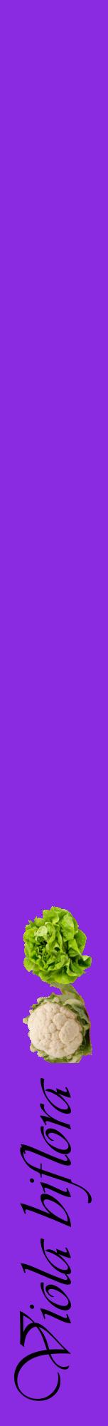 Étiquette de : Viola biflora - format a - style noire49viv avec comestibilité simplifiée