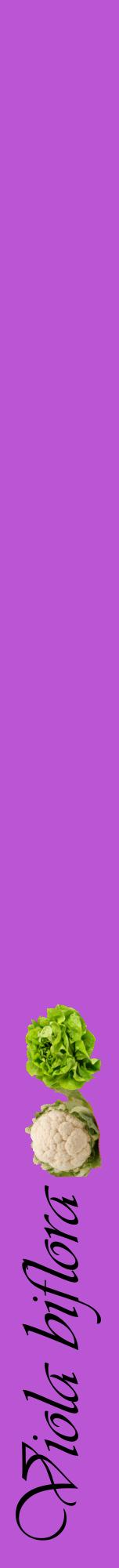 Étiquette de : Viola biflora - format a - style noire50viv avec comestibilité simplifiée