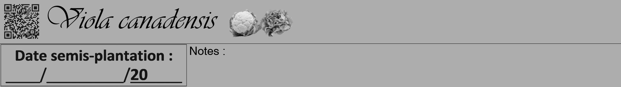 Étiquette de : Viola canadensis - format a - style noire22viv avec qrcode et comestibilité simplifiée