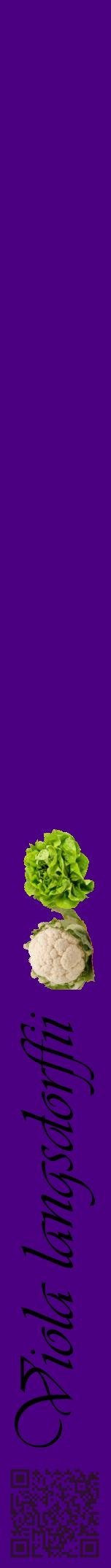 Étiquette de : Viola langsdorffii - format a - style noire47viv avec qrcode et comestibilité simplifiée