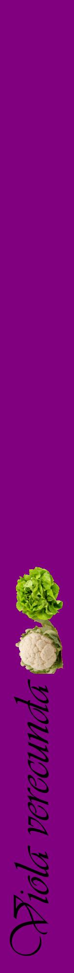 Étiquette de : Viola verecunda - format a - style noire46viv avec comestibilité simplifiée