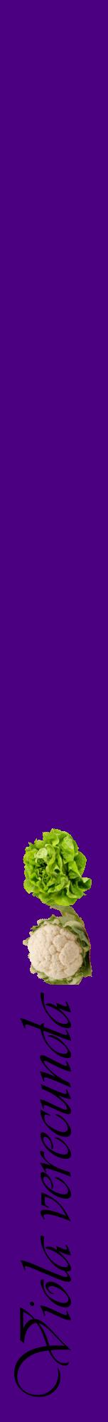 Étiquette de : Viola verecunda - format a - style noire47viv avec comestibilité simplifiée