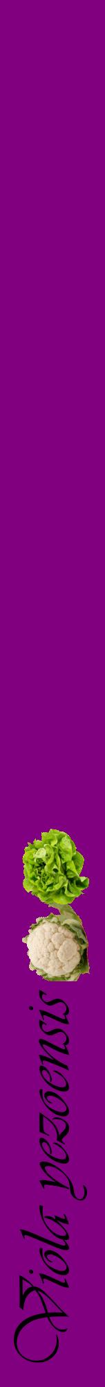 Étiquette de : Viola yezoensis - format a - style noire46viv avec comestibilité simplifiée