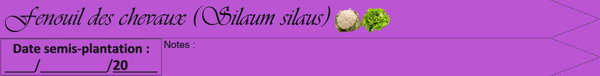 Étiquette de : Silaum silaus - format b - style noire50viv avec comestibilité simplifiée