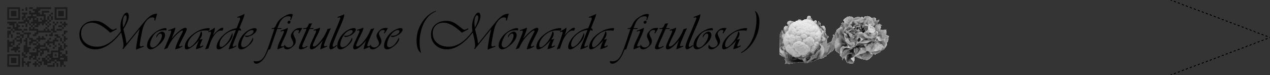 Étiquette de : Monarda fistulosa - format b - style noire46viv avec qrcode et comestibilité simplifiée