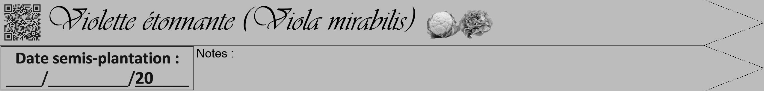 Étiquette de : Viola mirabilis - format b - style noire1viv avec qrcode et comestibilité simplifiée