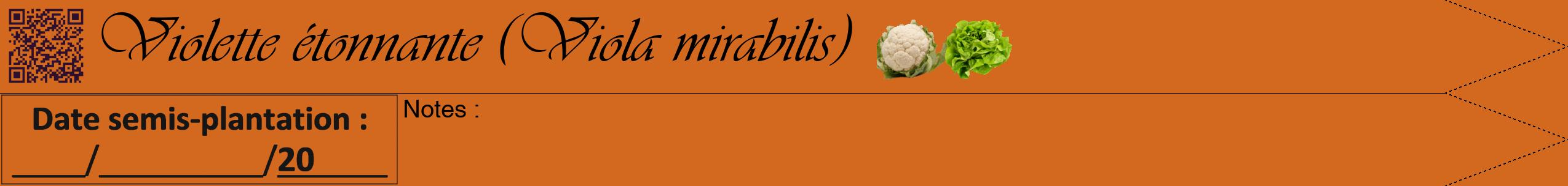 Étiquette de : Viola mirabilis - format b - style noire31viv avec qrcode et comestibilité simplifiée