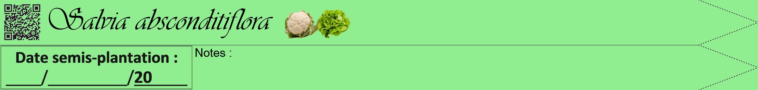Étiquette de : Salvia absconditiflora - format b - style noire15viv avec qrcode et comestibilité simplifiée