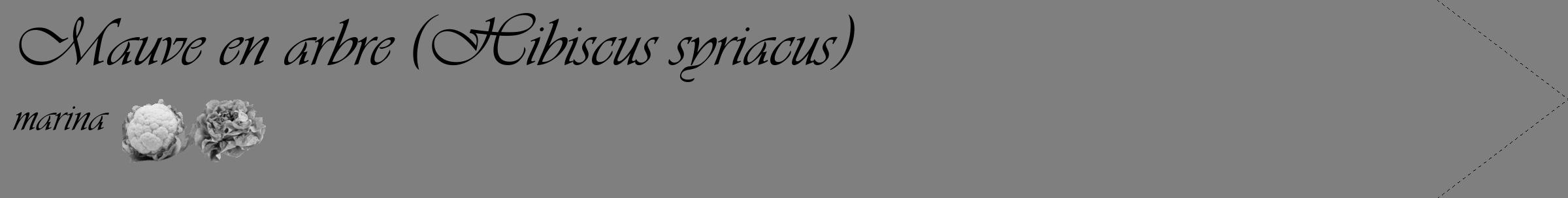 Étiquette de : Hibiscus syriacus marina - format c - style noire31_simple_simpleviv avec comestibilité simplifiée