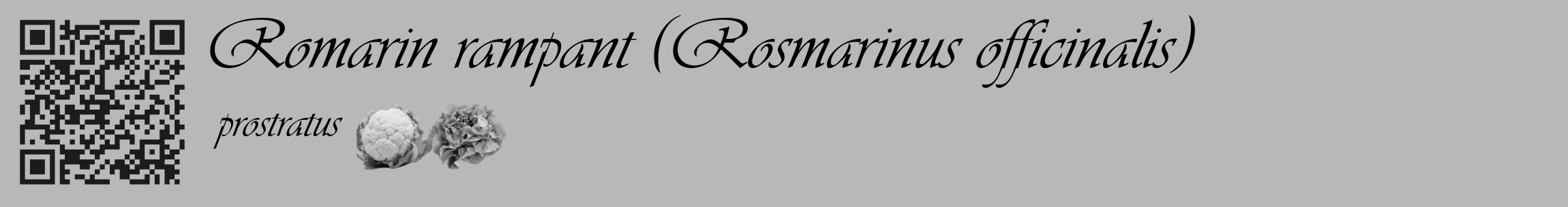 Étiquette de : Rosmarinus officinalis prostratus - format c - style noire39_basique_basiqueviv avec qrcode et comestibilité simplifiée