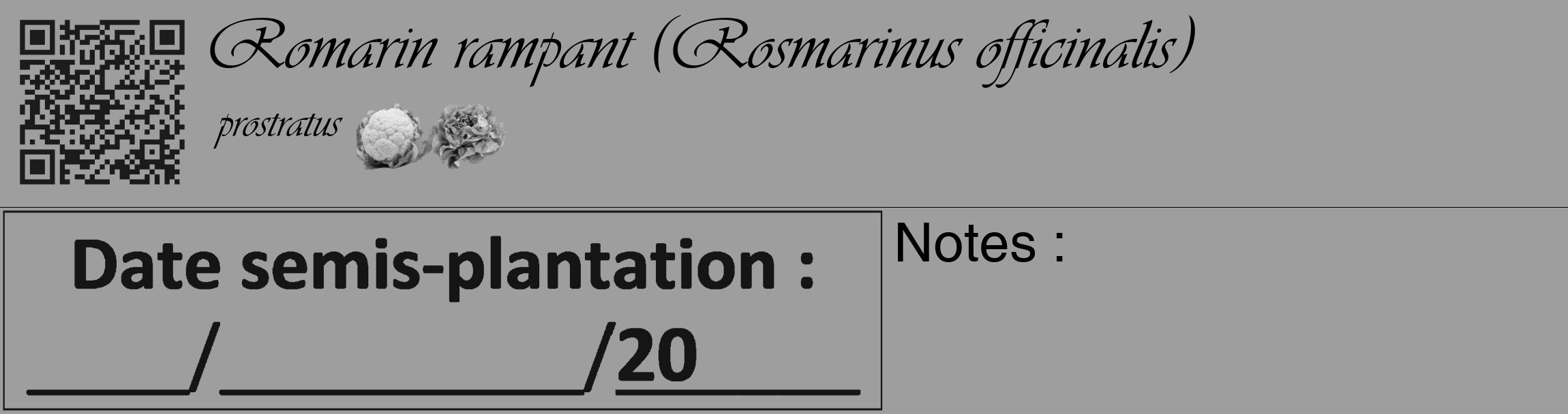 Étiquette de : Rosmarinus officinalis prostratus - format c - style noire42basique_basique_basiqueviv avec qrcode et comestibilité simplifiée