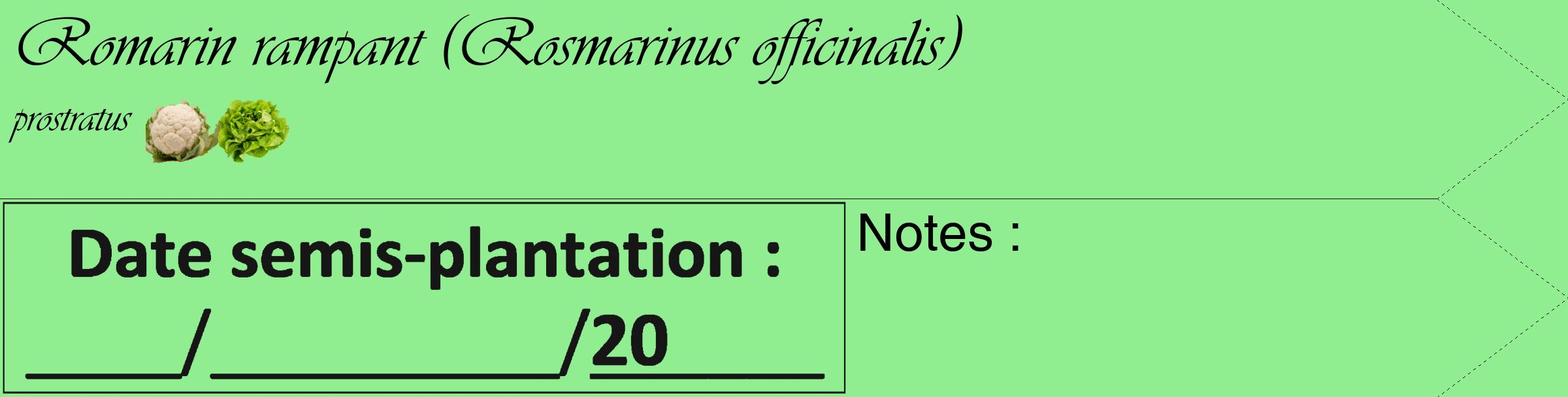 Étiquette de : Rosmarinus officinalis prostratus - format c - style noire15_simple_simpleviv avec comestibilité simplifiée
