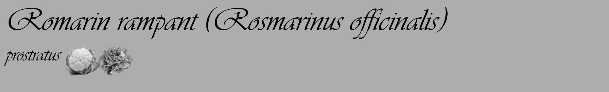 Étiquette de : Rosmarinus officinalis prostratus - format c - style noire22basique_basique_basiqueviv avec comestibilité simplifiée