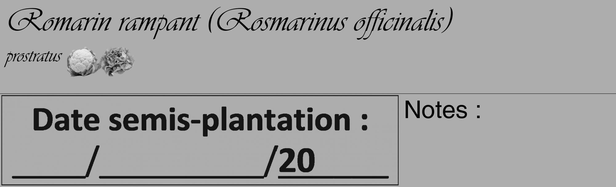 Étiquette de : Rosmarinus officinalis prostratus - format c - style noire22basique_basique_basiqueviv avec comestibilité simplifiée