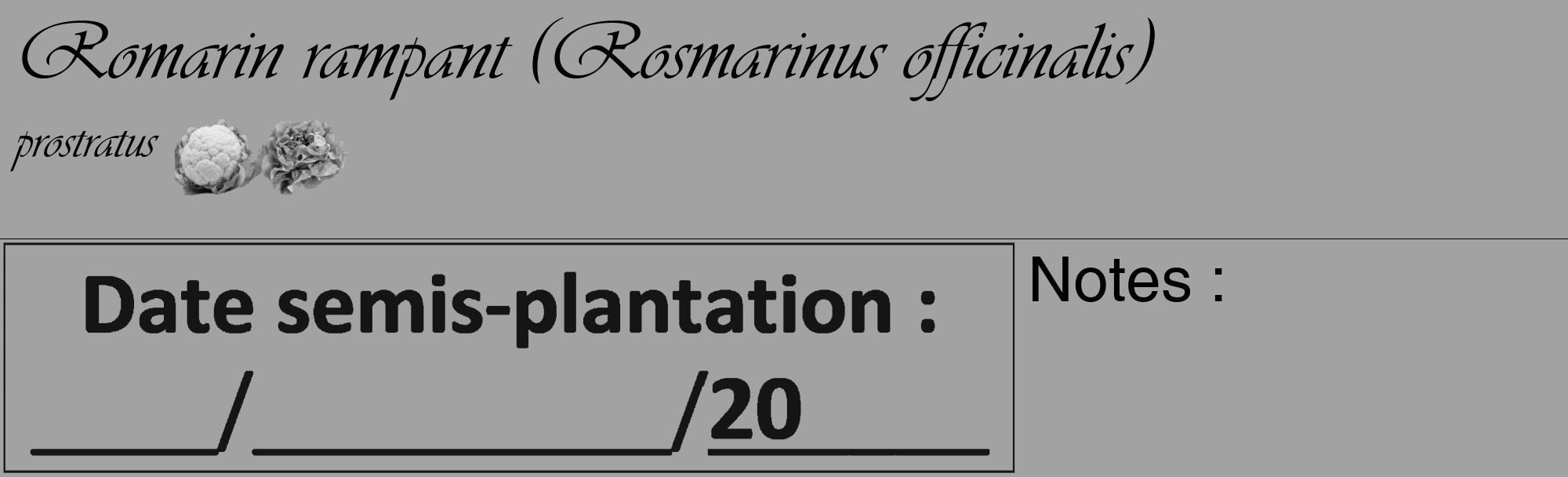 Étiquette de : Rosmarinus officinalis prostratus - format c - style noire38_basique_basiqueviv avec comestibilité simplifiée