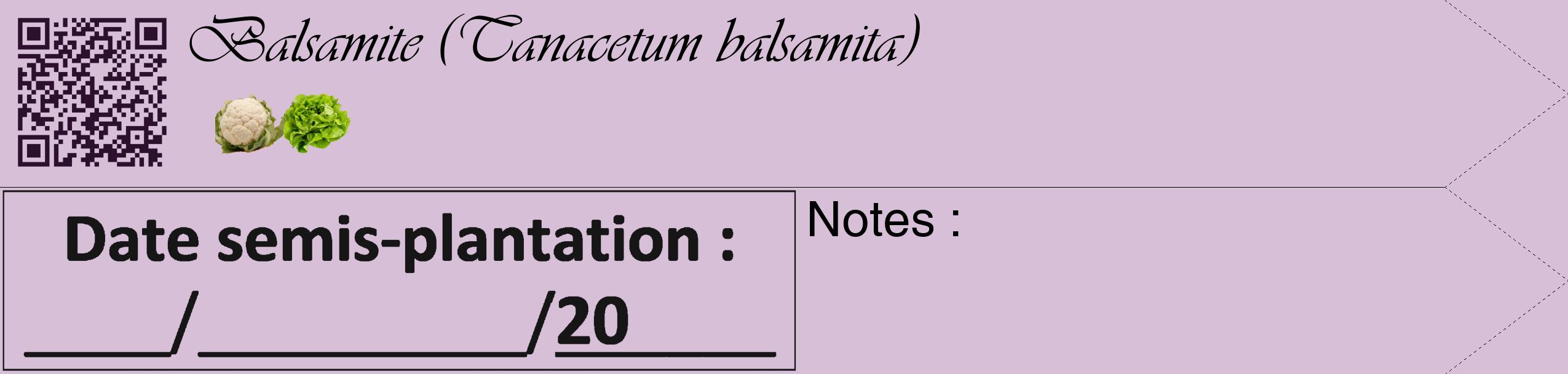 Étiquette de : Tanacetum balsamita - format c - style noire54simple_basique_basiqueviv avec qrcode et comestibilité simplifiée