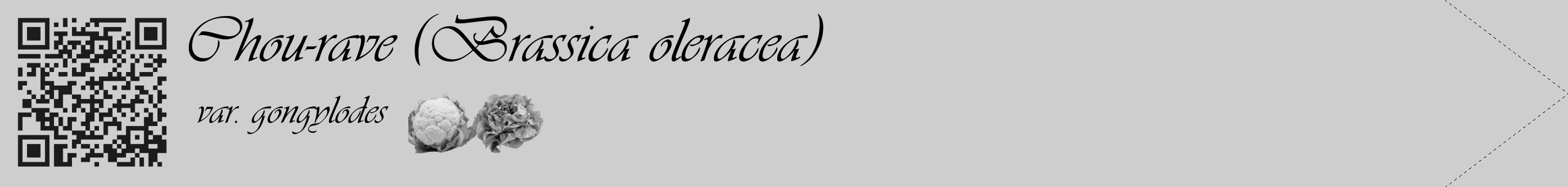 Étiquette de : Brassica oleracea var. gongylodes - format c - style noire17simple_basique_basiqueviv avec qrcode et comestibilité simplifiée
