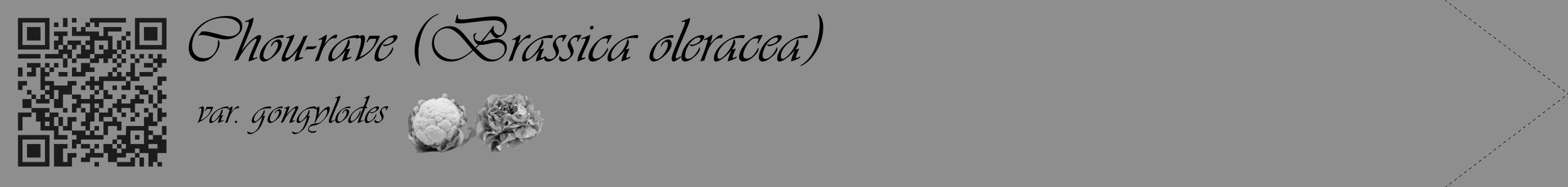 Étiquette de : Brassica oleracea var. gongylodes - format c - style noire25_simple_simpleviv avec qrcode et comestibilité simplifiée