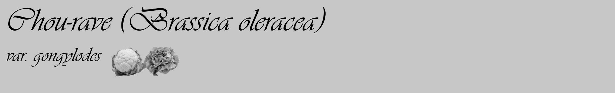 Étiquette de : Brassica oleracea var. gongylodes - format c - style noire15_basique_basiqueviv avec comestibilité simplifiée