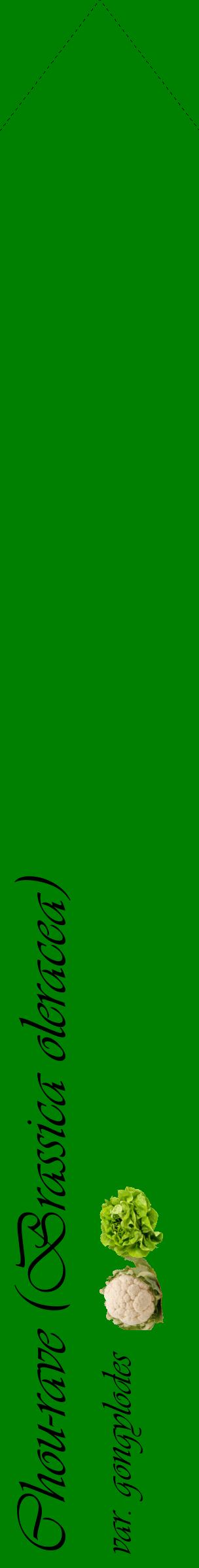Étiquette de : Brassica oleracea var. gongylodes - format c - style noire9_simpleviv avec comestibilité simplifiée