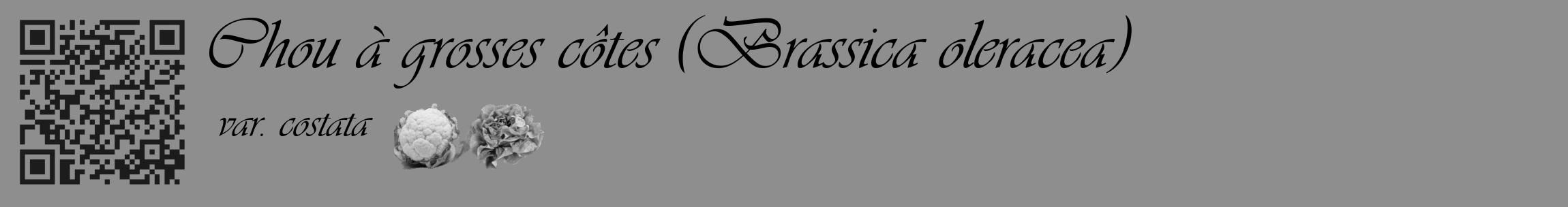 Étiquette de : Brassica oleracea var. costata - format c - style noire25_basique_basiqueviv avec qrcode et comestibilité simplifiée