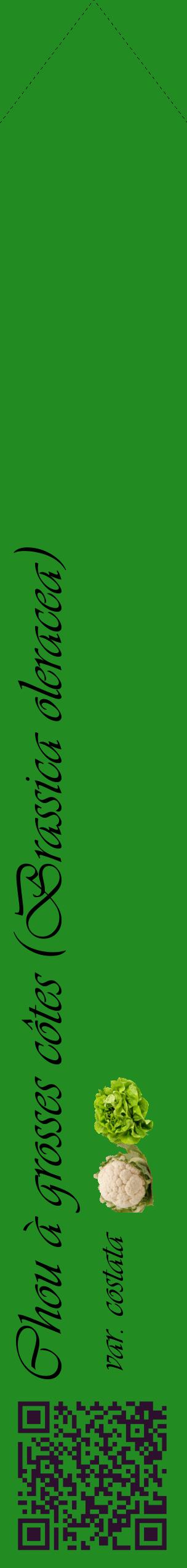 Étiquette de : Brassica oleracea var. costata - format c - style noire10_simpleviv avec qrcode et comestibilité simplifiée