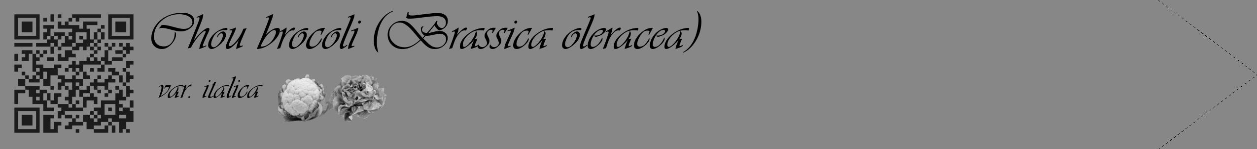 Étiquette de : Brassica oleracea var. italica - format c - style noire12_simple_simpleviv avec qrcode et comestibilité simplifiée